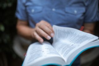 Person in Blue Button Up Shirt Reading Book